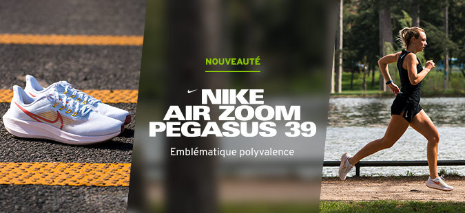 Nike Pegasus 39