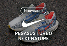 Nike Pegasus Turbo Next Nature